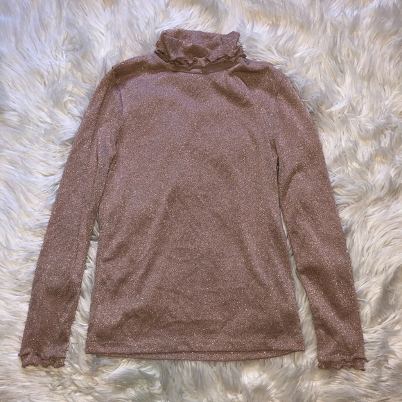 J. Crew Tops - J. Crew Sparkly Turtleneck